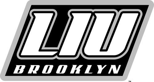 LIU-Brooklyn Blackbirds 2008-Pres Alternate Logo v2 iron on transfers for fabric